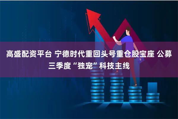高盛配资平台 宁德时代重回头号重仓股宝座 公募三季度“独宠”科技主线