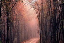 股票加杠杆的操作程序:股票交易师app-9月2日晚间沪深上市公司重大事项公告最新快递